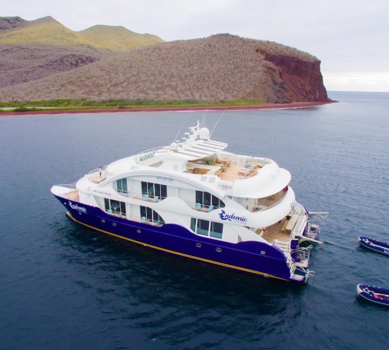 Galapagos Islands yacht charters. The Complete 2024 & 2025 Guide by